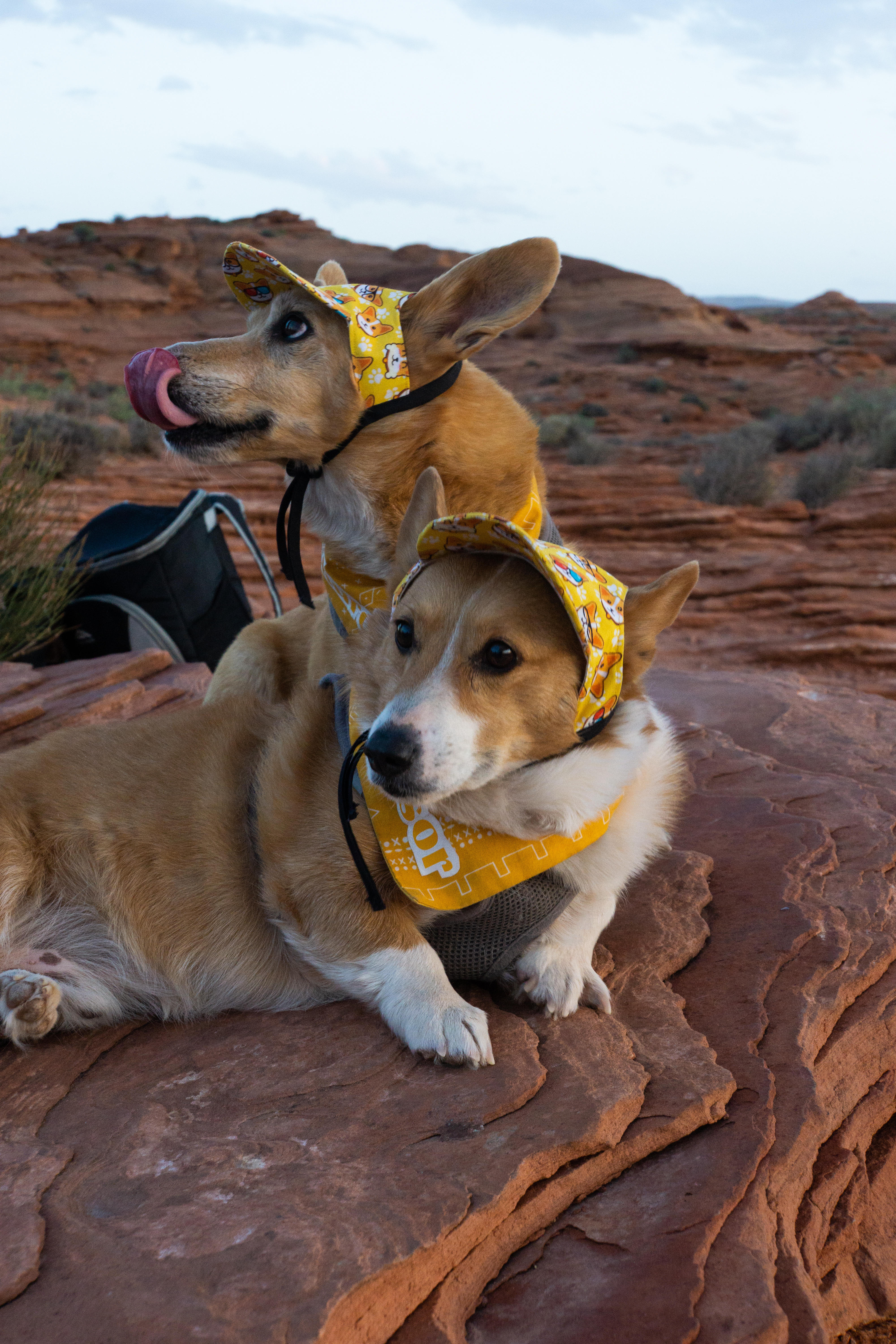 US National Parks 2022 21